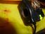 Immagine 5
