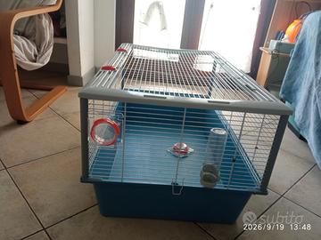 Gabbia per roditori (gerbilli, conigli, caviuvian)
