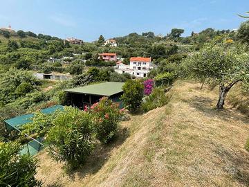 Terreno a Pecorile (Celle Ligure)