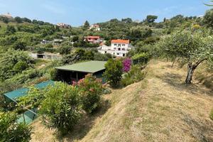 Terreno a Pecorile (Celle Ligure)