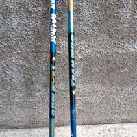 Canna da Pesca roubasienne