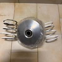 Variatore malossi multivar