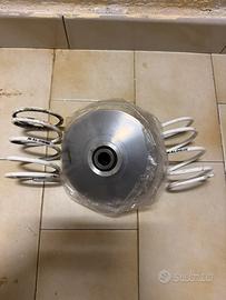 Variatore malossi multivar