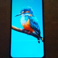 cellulare  ZTE 