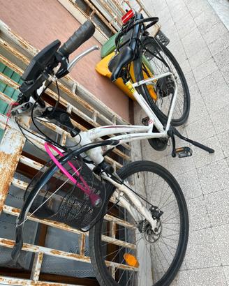 Bici elettrica ITALWIN