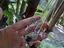 Immagine 4