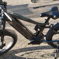 ebike biammortiizzato 