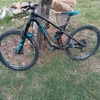 Canyon strive CF