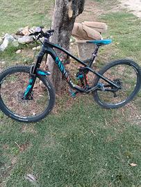 Canyon strive CF