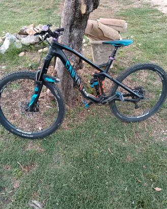 Canyon strive CF