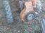 Immagine 2