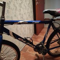  mountain bike  olmo oasi