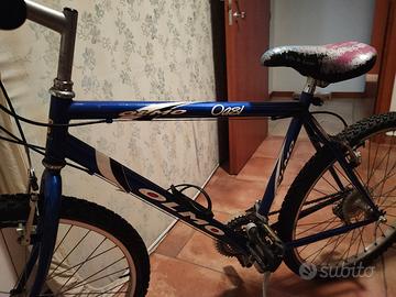  mountain bike  olmo oasi