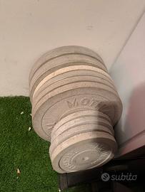 Dischi per bilanciere