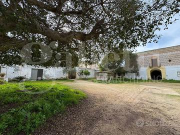 Rustico/Casale/Corte Petrosino