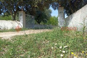 Baita/Chalet/Trullo Martina Franca [0991VRG]