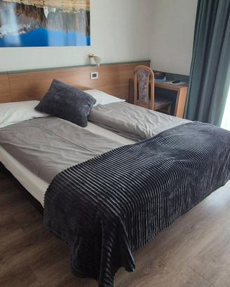 Camere