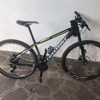 Cannondale front Lefty