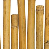 Canne bambù  h cm 210, spessore 2,8/3