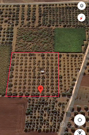 Terreno agricolo + Locale rurale