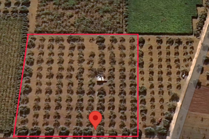 Terreno agricolo + Locale rurale