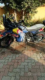 Cfmoto mt-x 800 2025