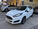 ford-fiesta-1-4-5-porte-gpl-business