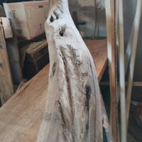 tronco Ginepro 4 metri x60 