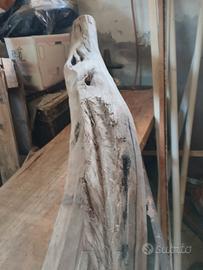 tronco Ginepro 4 metri x60 