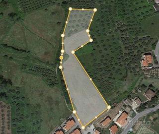Terreno agricolo - 13200 m2 - Serbadone (RN)