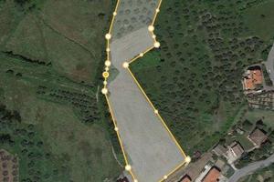 Terreno agricolo - 13200 m2 - Serbadone (RN)
