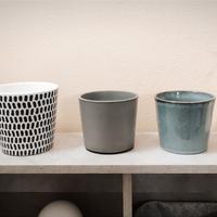 SET PIANTE: 4 Coprivasi + 1 Nebulizzatore IKEA