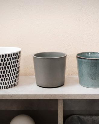 SET PIANTE: 4 Coprivasi + 1 Nebulizzatore IKEA