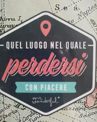 Diario di viaggio mr wonderful