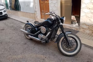  Kawasaki VN 800