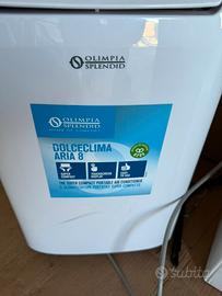 Climatizzatore portatile