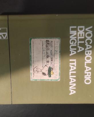 dizionario italiano 