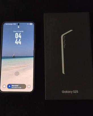 Samsung Galaxy S25 5G 256 GB Icy Blue