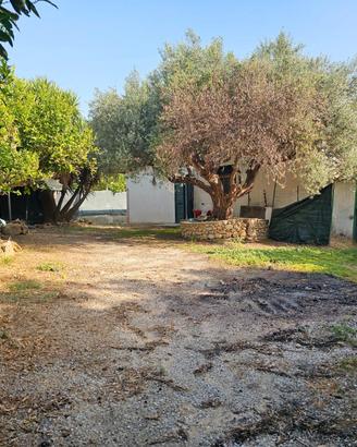 Casa in Campagna a Borgo Prestianni (CL)