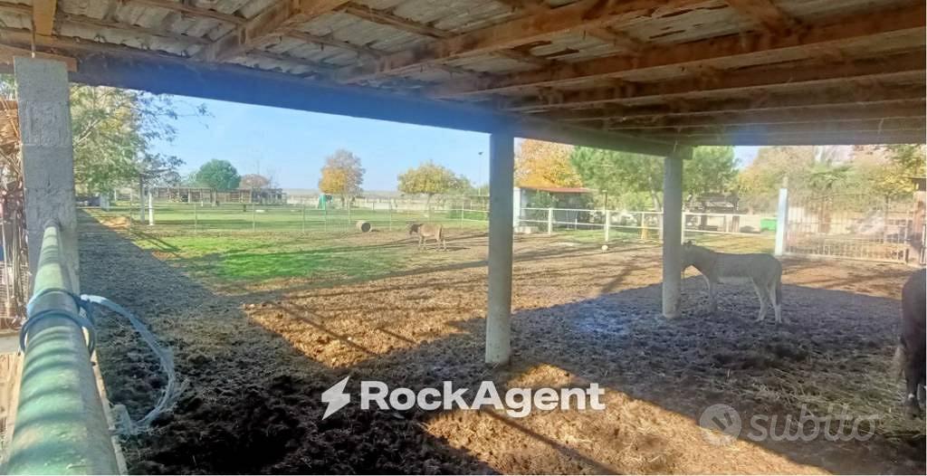 Terreno di 7500 m² a Suardi - Altro