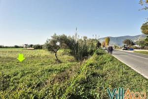 Terreno Agricolo - Fondi