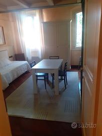Loft mansardato