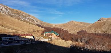 Trilocale Terminillo fronte bosco