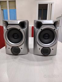 Coppia di casse con cavi bipolari 