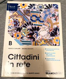 Cittadini in rete. Volume B