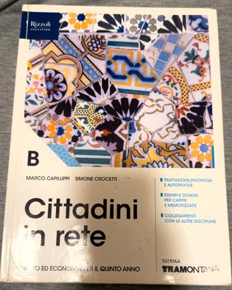 Cittadini in rete. Volume B