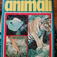 libro Enciclopedia illustrata degli animali