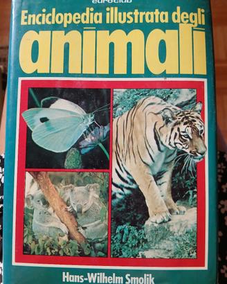 libro Enciclopedia illustrata degli animali