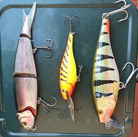 Esche traina per Luccio e Trota