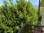 Immagine 19